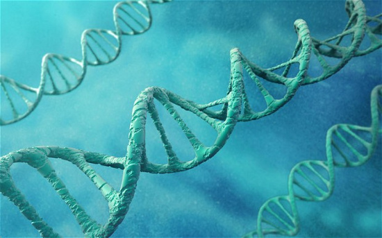 Không thể xác định tổ tiên bằng kiểm tra ADN