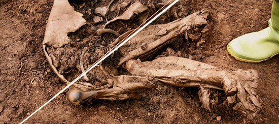 Kì dị “xác ướp đầm lầy” lâu đời nhất thế giới