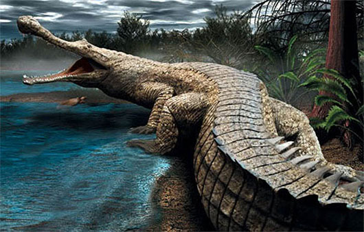 Kinh ngạc loài cá sấu dài bằng toa tàu, nặng chục tấn