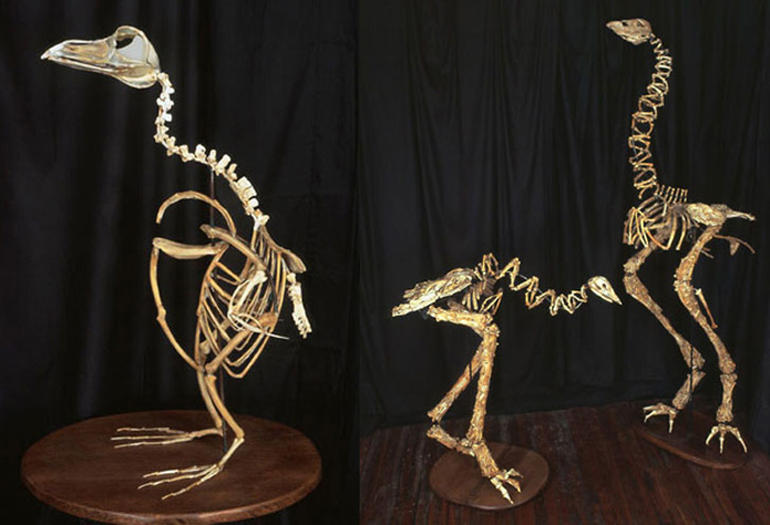 Kinh ngạc ngắm các tác phẩm điêu khắc từ xương gà ăn thừa