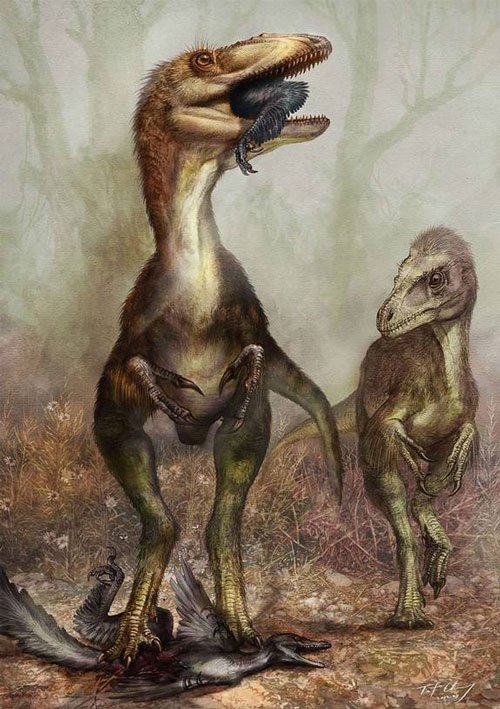 Kỳ lạ hóa thạch bên trong bụng khủng long