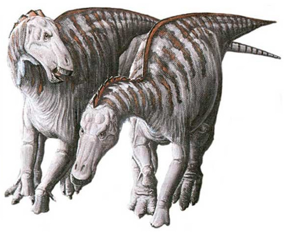 Kỳ lạ hóa thạch khủng long mỏ vịt có khối u trên mặt