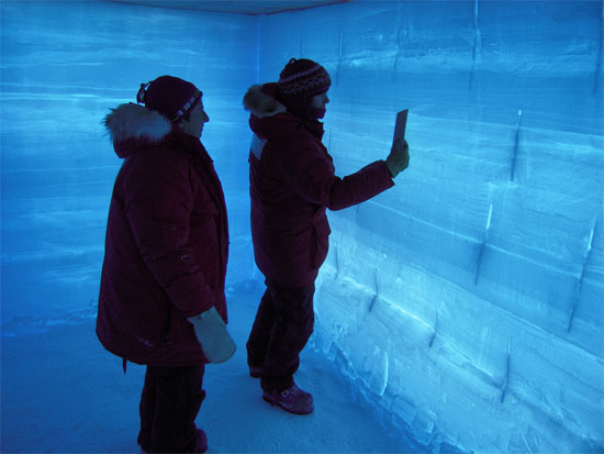 Lại phát hiện rệp băng trong các lớp băng Nam Cực