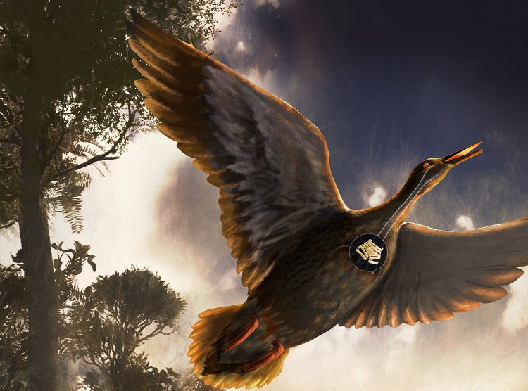 Lần đầu tiên phát hiện hóa thạch chim cổ thời Đại Trung sinh
