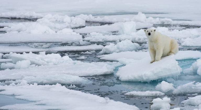 Lần đầu tiên sau 100.000 năm, băng tại Bắc Cực có thể tan chảy hoàn toàn