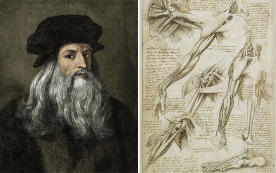 Leonardo da Vinci: Nhà khoa học giải phẫu