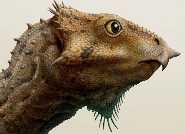 Loài khủng long có sừng cổ xưa nhất ở Bắc Mỹ