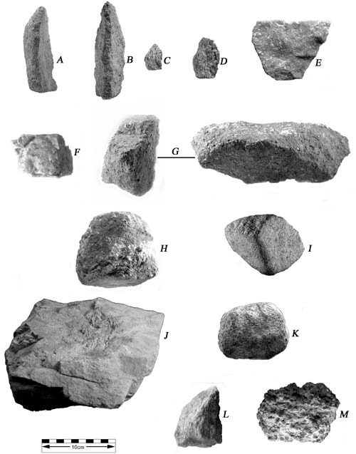 Loài tinh tinh đã biết dùng công cụ đá cách đây 4.300 năm
