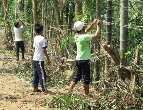 Lốc xoáy kèm mưa đá mạnh chưa từng có ở Quảng Ngãi