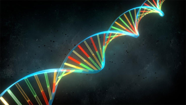 Mã vạch DNA - Cuộc cách mạng trong phân loại sinh vật?