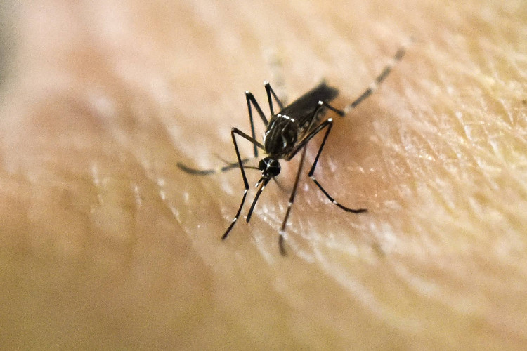 Malaysia xác nhận ca nhiễm Zika đầu tiên