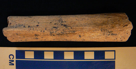 Mảnh xương chân cổ nhất nước Anh