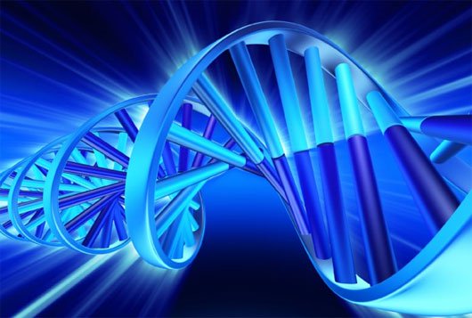 Mật mã ngầm trong ADN