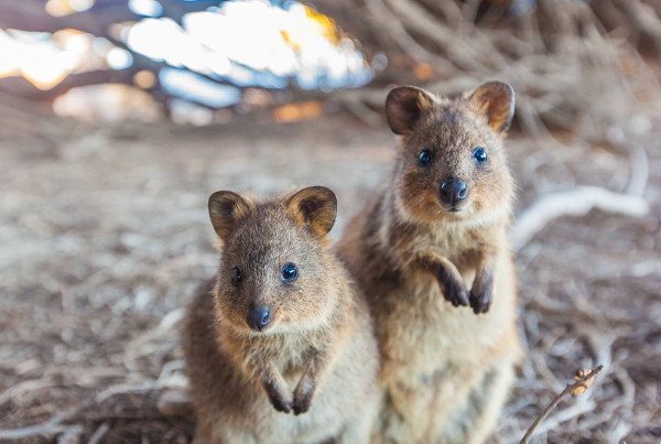 Miền tây hoang dã tuyệt đẹp của Australia