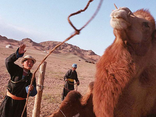 Mông cổ: Cái giá phải trả cho môi trường
