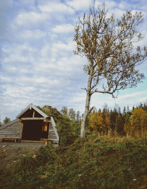 Mùa thu sớm trong rừng Na Uy