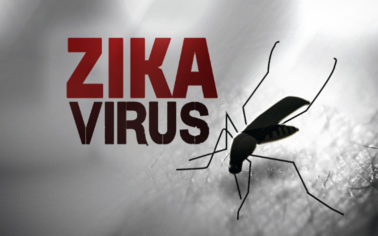 Mỹ thử thành công vắc xin phòng chống virus Zika trên động vật