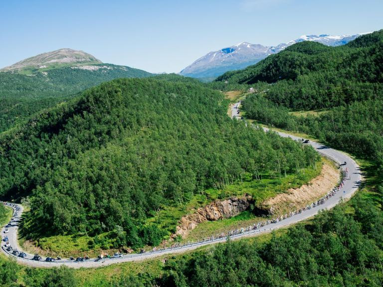 Na Uy chính thức là quốc gia đầu tiên trên thế giới cam kết không chặt phá rừng