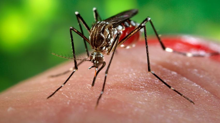 Nam thanh niên ở Phú Yên nhiễm virus Zika