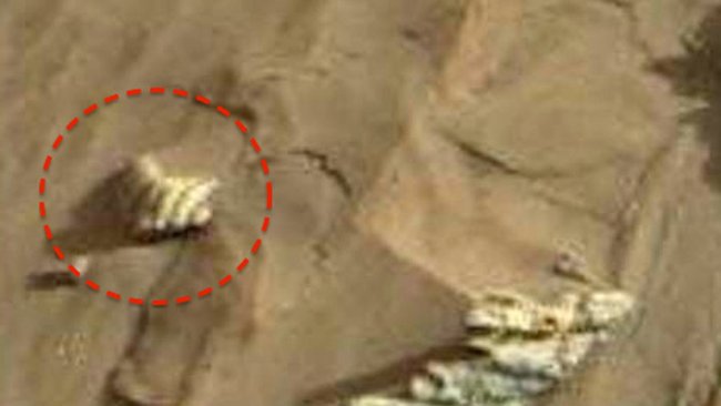 NASA phát hiện hình ảnh vỏ ngao trên sao Hỏa