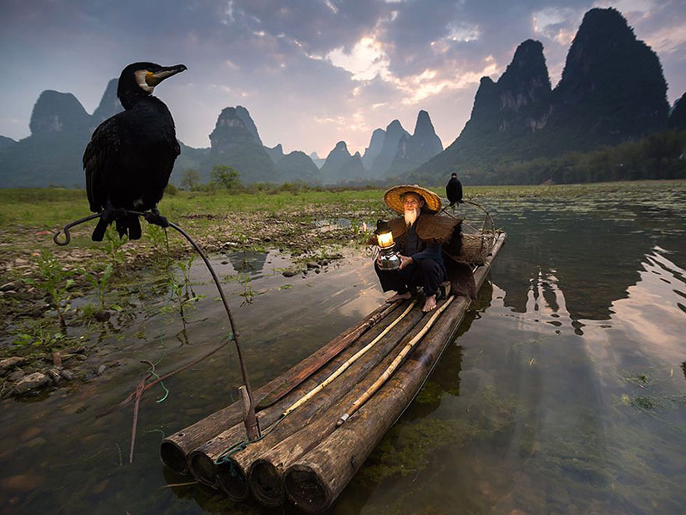 National Geographic top 20 Photo of The Day năm 2015