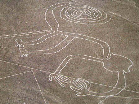 Nền văn minh Nazca diệt vong vì phá rừng