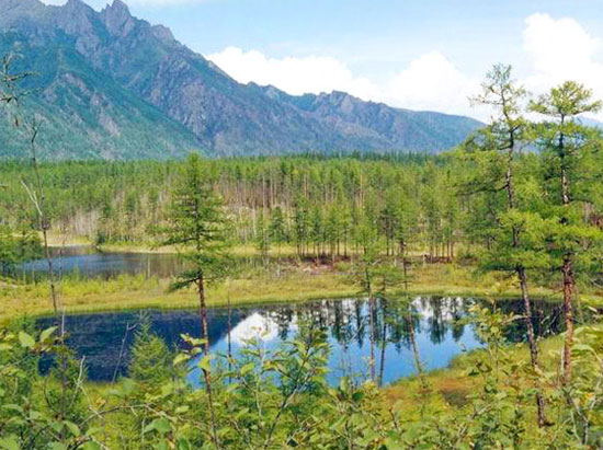 Nga, Mông Cổ sẽ lập khu bảo tồn xuyên quốc gia