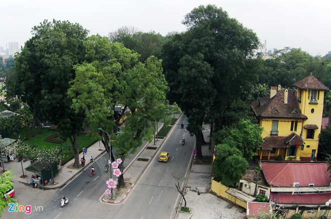 Ngắm những tuyến đường rợp bóng cây xanh ở Hà Nội