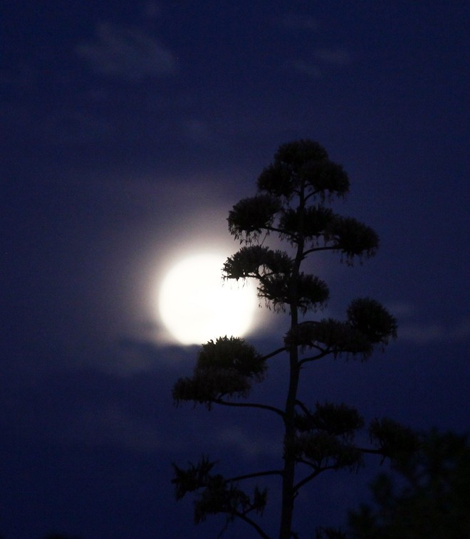 Ngắm siêu trăng đầu tiên của mùa thu 2015