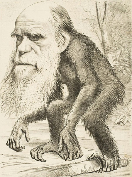 Ngày 12/2: Charles Darwin - Thuyết tiến hóa và chọn lọc tự nhiên