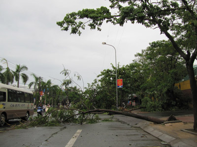 Nghệ An: Bão số 3 gây thiệt hại lớn