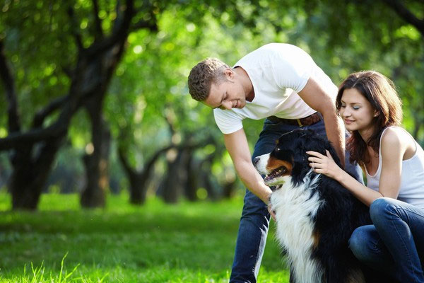 Nghiên cứu cho thấy tính cách khó ưa ở những người yêu chó