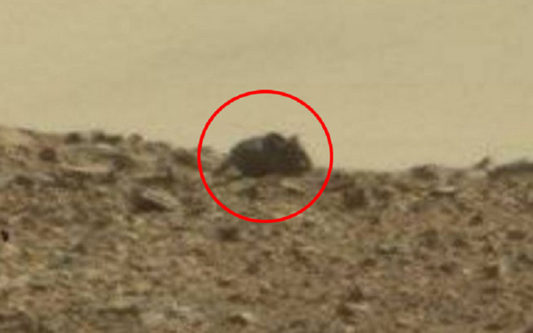 Người phụ nữ nấp sau tảng đá trên sao Hỏa