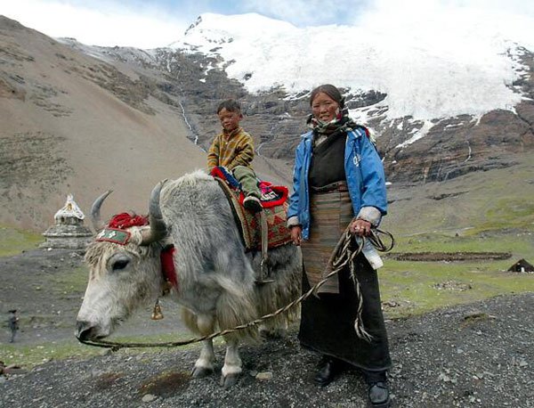 Người Tây Tạng sống được trên núi cao nhờ họ hàng” tuyệt chủng