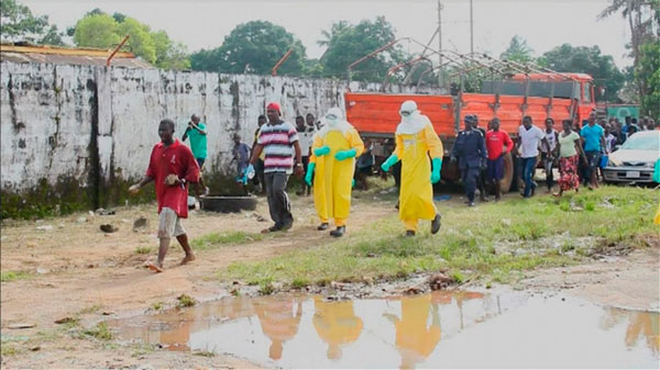 Nguồn lây lan virus Ebola tại Liberia