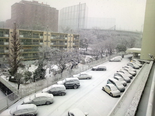 Nguyên nhân hiện tượng tuyết rơi kỷ lục ở Nhật Bản