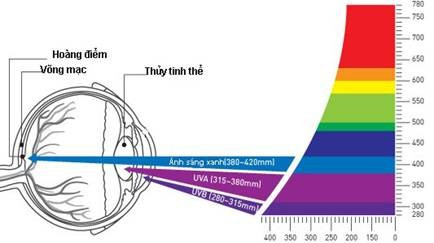 Những cách bảo vệ mắt dưới trời nắng nóng