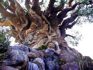 Những cây cổ thụ nổi tiếng nhất thế giới