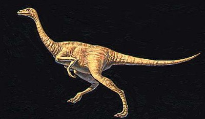 Những con khủng long gầy hay béo như thế nào?