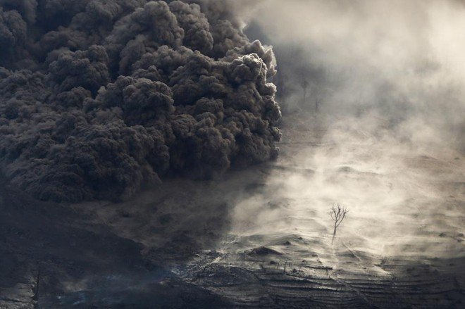 Những hình ảnh khó quên về thảm họa môi trường 2015