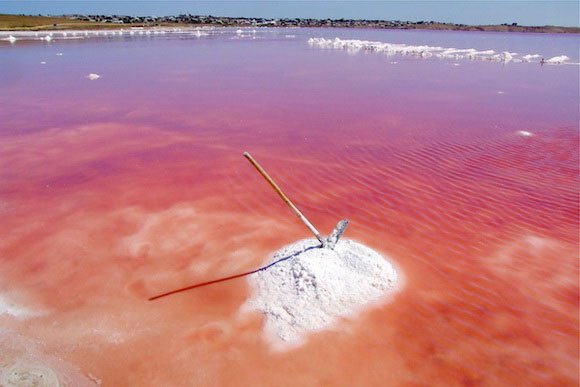 Những hồ nước màu hồng đặc biệt
