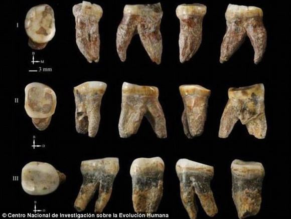 Những hóa thạch cổ nhất của loài người
