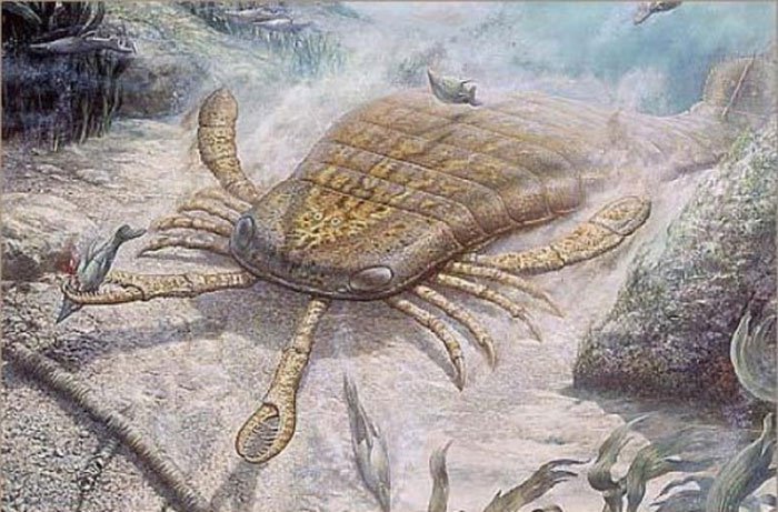 Những loài sâu bọ tiền sử khiến bạn “sởn gai ốc”