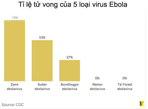 Những lý do khiến virus Ebola nguy hiểm hơn cả virus HIV