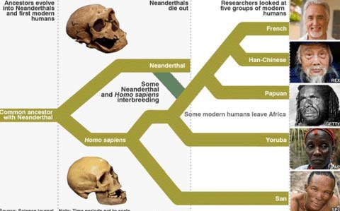 Những phát hiện xác định nguồn gốc loài người