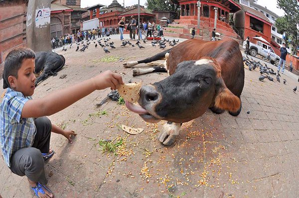 Những sự thật thú vị về đất Phật Nepal