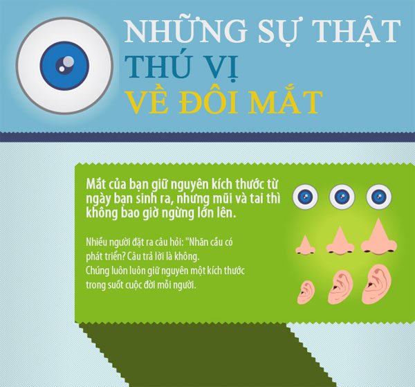 Những sự thật thú vị về mắt