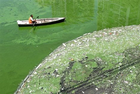 Nước duyên hải Trung Quốc ô nhiễm nghiêm trọng