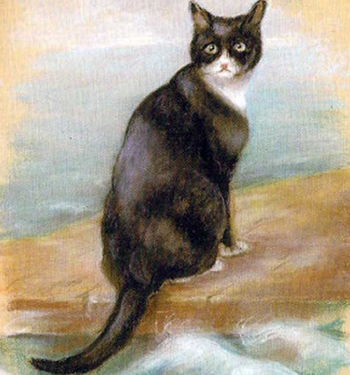 Oscar - chú mèo nhân chứng của 5 vụ chìm tàu liên tiếp trong thế chiến 2