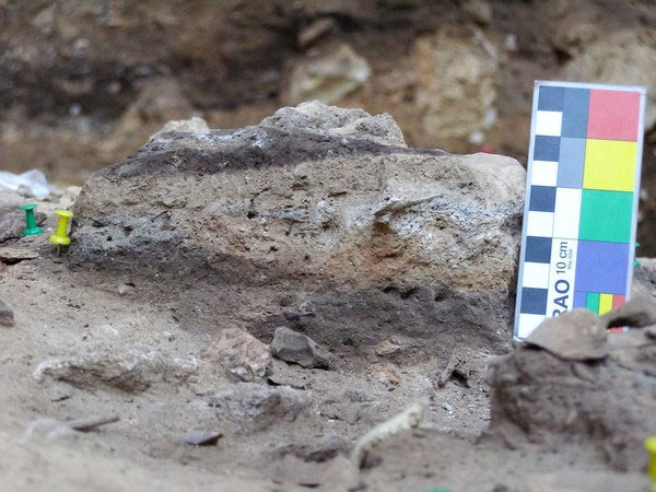 Phân tích hóa thạch phân của người cổ đại
